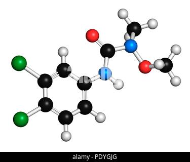 Linuron erbicida molecola. Il rendering 3D. Gli atomi sono rappresentati come sfere con i tradizionali colori: idrogeno (bianco), carbonio (nero), Ossigeno (rosso), Azoto (blu), cloro (verde). Foto Stock