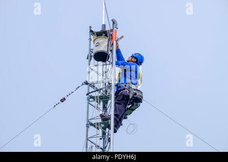 Torre Telecom scalatore lavora alla sommità della torre della radio. Foto Stock