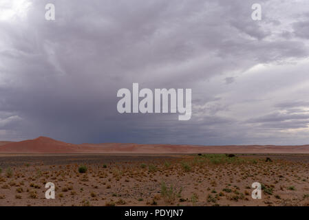 Dark nuvole thunderstom oltre il deserto arido vegetazione, Namibia Foto Stock