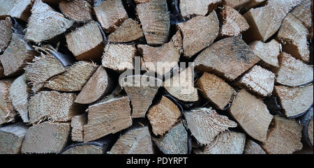 Essiccazione legno impilato Foto Stock