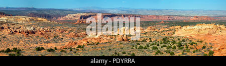 AZ00247-00...ARIZONA - Una vista panoramica sopra la sezione meridionale della Coyote Buttes in Paria Canyon - Vermiglio scogliere selvagge. Foto Stock