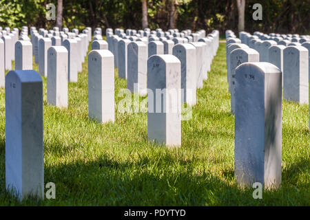 Vista di lapidi in Camp Butler Cimitero nazionale militare americano in luogo di sepoltura Foto Stock