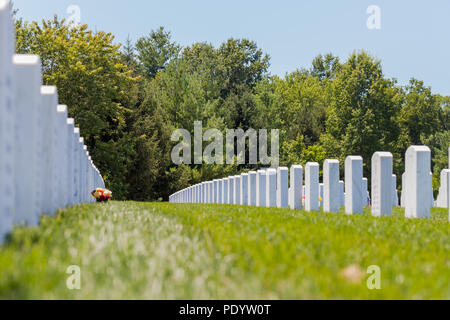 Vista di lapidi in Camp Butler Cimitero nazionale militare americano in luogo di sepoltura Foto Stock