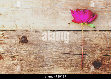 Rosso peonia fiore sul vecchio marrone shabby rustico sfondo di legno e il luogo di copyspace di testo Foto Stock