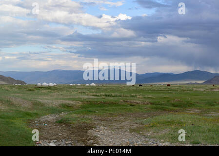 Paesaggio della provincia Bayan-Ölgii, Mongolia. Ger camp e bovini Foto Stock