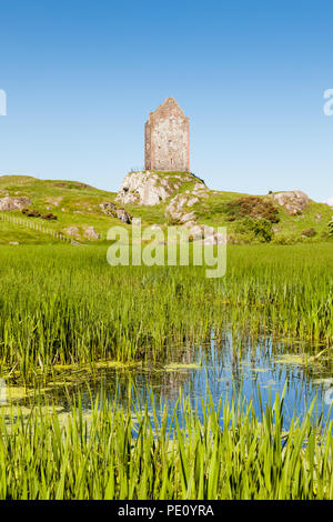 La vista su un mulino stagno verso Smailholm Tower in Scottish Borders. La torre fu costruita nel quattrocento. Foto Stock