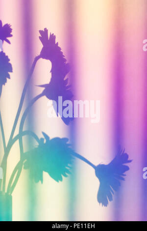 Mazzo di fiori in ombra riflessa in pastello arcobaleno di colori su sfondo a trama Foto Stock