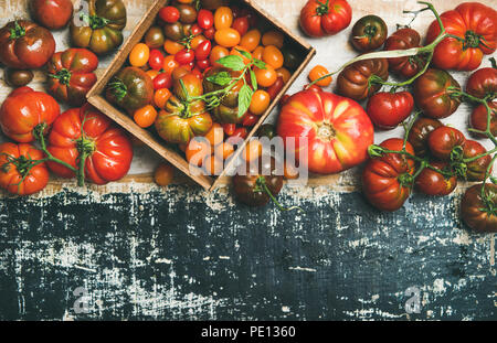 Appartamento -lay di coloratissimi freschi pomodori maturi su sfondo rustico Foto Stock