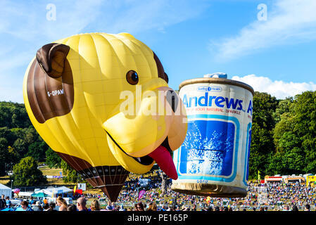 Buster cane mongolfiera G-OPAW costruito da Cameron Balloons. Tethered battenti a Bristol International Balloon Fiesta. Andrews può palloncino Foto Stock