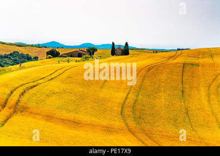 Vista della Cappella della Madonna di Vitaleta su di una collina a golden collinare Toscana campo nei pressi di San Quirico d'Orcia Siena Toscana Foto Stock