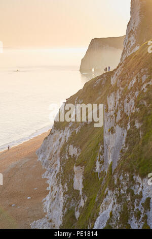 Un vago sunny immagine dalle scogliere erbose della Jurassic Coast a porta di Durdle, guardando in giù alla spiaggia di ciottoli a testa di pipistrelli Foto Stock