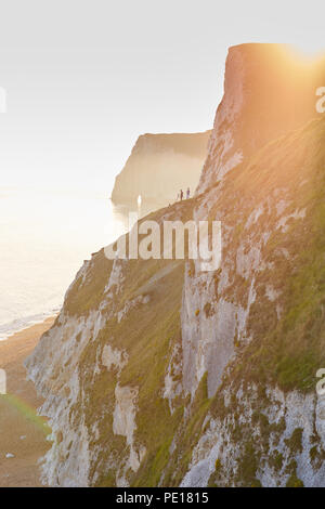 Un vago sunny immagine dalle scogliere erbose della Jurassic Coast a porta di Durdle, guardando in giù alla spiaggia di ciottoli a testa di pipistrelli Foto Stock