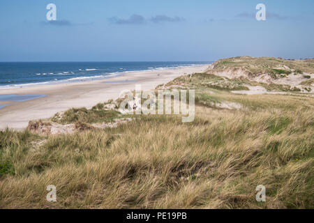La costa dello Jutland vicino Husby in Danimarca. Questa è la spiaggia e la zona di dune dove Vesterhav Syd offshore wind farm cavi di esportazione si incontreranno i terreni vicino Søndervig sul danese di costa del Mare del Nord Foto Stock