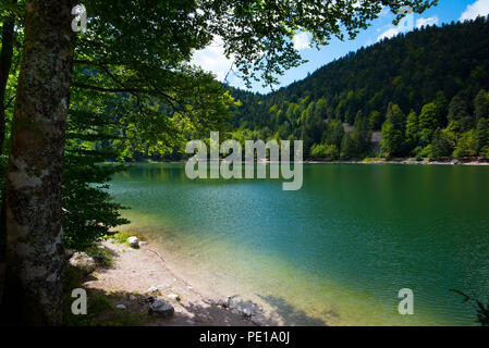 Il Mystic Lake ' Lac des corbeaux' (raven lago) sui Vosgi in Francia Foto Stock