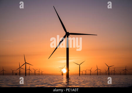 Le turbine eoliche di Walney Offshore Wind Farm nel Mare d'Irlanda presso sunrise Foto Stock