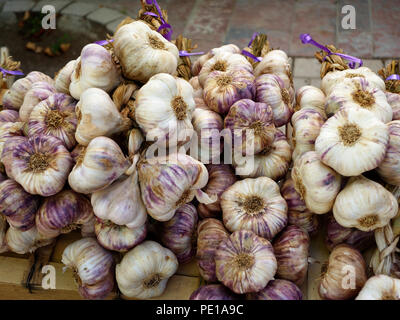 Stringa di calza di aglio nel settimanale mercato estivo in Cessenon-sur-Orb, Francia Foto Stock