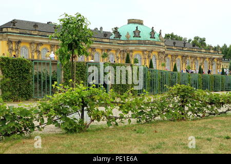 Sans Souci palace a Potsdam. Foto Stock