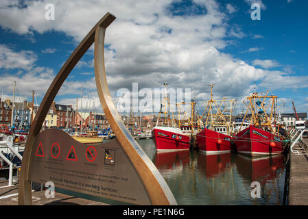 Arbroath Harbour, Arbroath, Angus, Scozia. Foto Stock