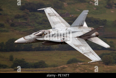 Royal Canadian Air Force McDonnell Douglas, CF 188A Hornet , basso livello la formazione di volo in Mach Loop (LFA7) Galles Foto Stock