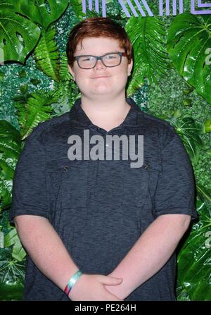 Los Angeles, CA, Stati Uniti d'America. 11 Ago, 2018. Grayson Kilpatrick di presenze per Kidz-Con 2018, Magic Box al Reef, Los Angeles, CA 11 agosto 2018. Credito: Elizabeth Goodenough/Everett raccolta/Alamy Live News Foto Stock