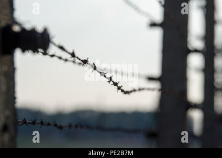 Oswiecim, Polonia. 09Aug, 2018. Vista di un recinto di filo spinato nell'ex campo di sterminio di Auschwitz-Birkenau. Dal 1940 al 1945, la SS azionato il complesso di Auschwitz con numerosi subcamps come sterminio e campi di concentramento. Credito: Monika Skolimowska/dpa-Zentralbild/dpa/Alamy Live News Foto Stock