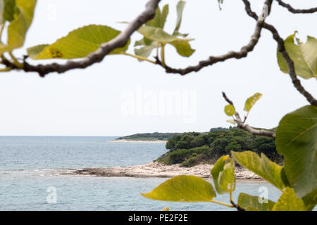 Brijuni, Croazia - Luglio 28, 2018: vista alle baie dell'Isola Brioni, Croazia Foto Stock