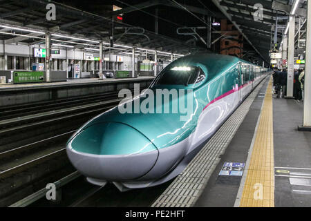 Shinkansen della serie E5 in piedi presso la stazione di Utsunomiya in Giappone Foto Stock