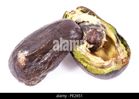 Vecchio rugoso avocado con stampo su sfondo bianco, alimenti dannosi per la salute Foto Stock