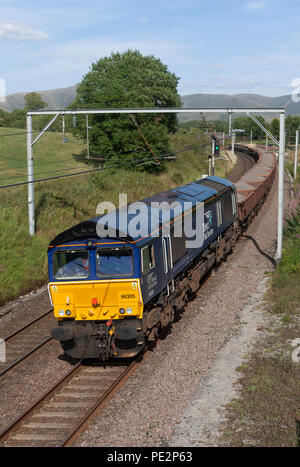 Direct Rail Services class 66 locomotiva a Grayrigg, Cumbria sulla linea principale della costa occidentale con un treno merci di trasportare materiali per la guida della rete Foto Stock