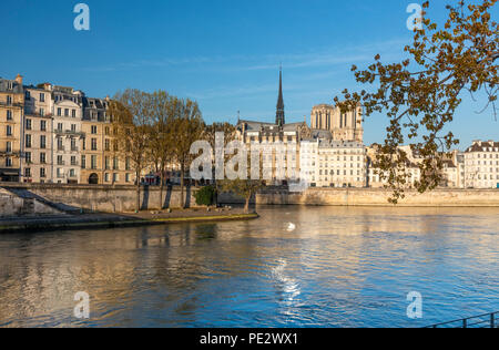 Vista di edifici lungo le rive del Fiume Senna, Isola De La Cite, durante la primavera di Parigi, Francia. Foto Stock