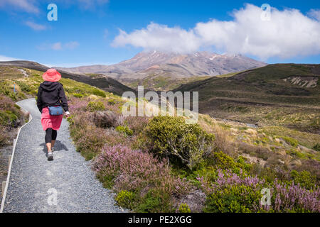 Una donna che cammina verso il Monte Ruapehu nel Parco Nazionale di Tongariro Foto Stock