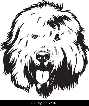 Old English Sheepdog razza di cane cucciolo isolato faccia di testa Illustrazione Vettoriale