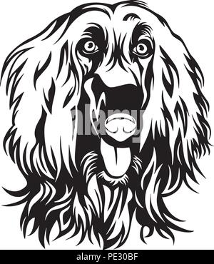 Afghan hound dog razza Cucciolo isolato faccia di testa Illustrazione Vettoriale