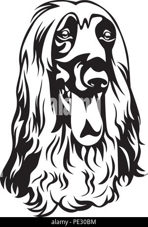 Afghan hound dog razza Cucciolo isolato faccia di testa Illustrazione Vettoriale