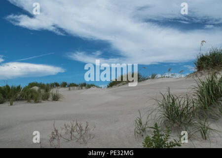 Testa calva Island-Beach, Marina, FARO Foto Stock