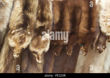 Pelli animali appeso su un mercato in stallo Foto Stock