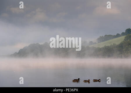 Un altro giorno glorioso bekons dopo la precoce nebbia di mattina nel Yorkshire Dale Parco Nazionale intorno Semerwater, Wensleydale. Foto Stock