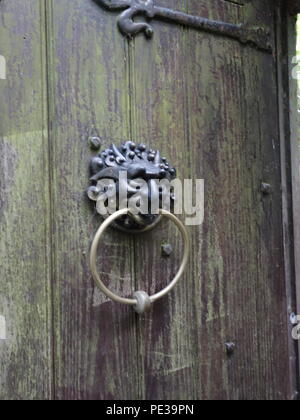 Porta vintage respingente Foto Stock