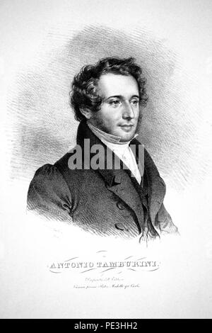 Antonio Tamburini II lastre litografiche. Foto Stock