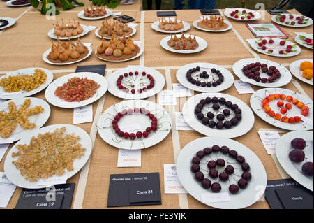 Pluripremiato frutta & scalogni sul display a RHS Tatton Park flower show Cheshire England Regno Unito Foto Stock