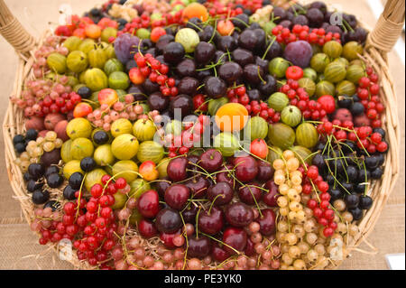 Cesto di frutta presentano ad RHS Tatton Park flower show Cheshire England Regno Unito Foto Stock