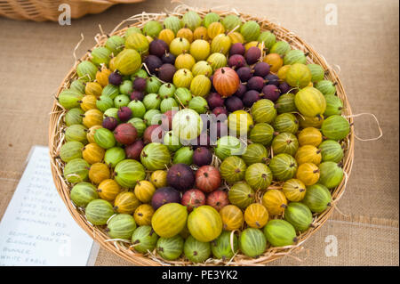 Cesto di frutta presentano ad RHS Tatton Park flower show Cheshire England Regno Unito Foto Stock