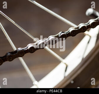 Singola immagine di un grasso catena di bicicletta con sfocati raggi ruota in background Foto Stock