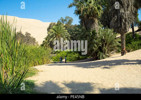 Palme e oasi del deserto di Huacachina. Ica distretto, Perù. Lug 2018 Foto Stock