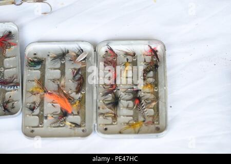 Una collezione di mosche da pesca e altre attrezzature per la pesca a mosca. Hawkhurst, Kent, Regno Unito. Foto Stock