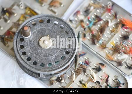 Una collezione di mosche da pesca e altre attrezzature per la pesca a mosca. Hawkhurst, Kent, Regno Unito. Foto Stock