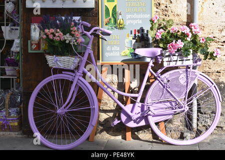 Rosa / bicylcle lavanda al di fuori del negozio di fiori in Assisi Italia Gennaio 2018 Foto Stock