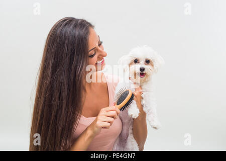 Felice femmina cane maltese è la pettinatura bella giovane donna. Foto Stock