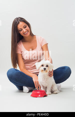 Carino piccolo femmina cane maltese è affamato e lei è in attesa per un pasto dal suo proprietario. Foto Stock