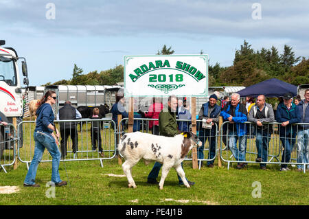 Ardara, County Donegal, Irlanda. Gli allevatori di bestiame e all'annuale Ardara spettacolo agricolo. Foto Stock